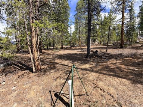 198 Juniper Drive Twin Lakes CO 81251