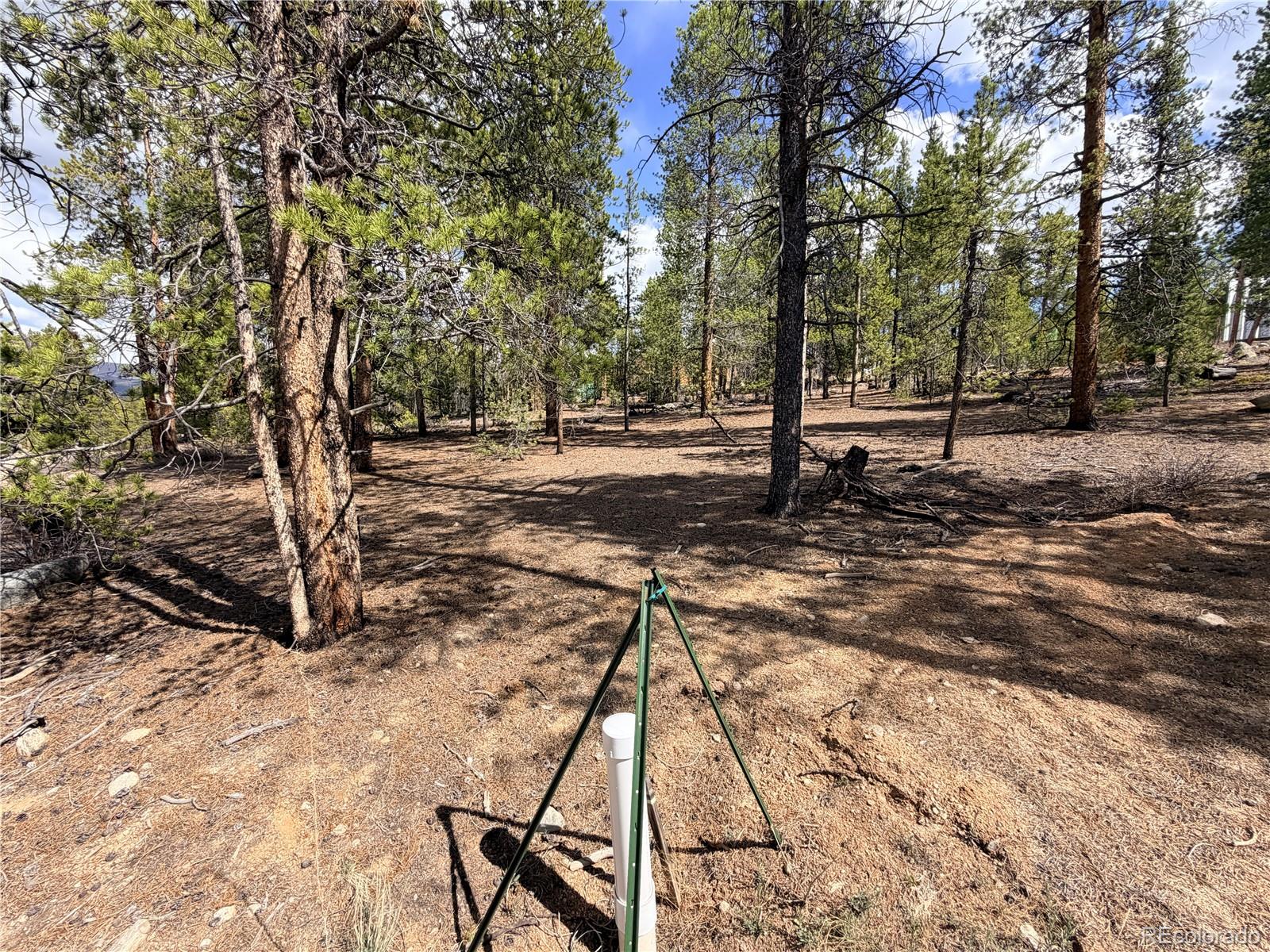 198 Juniper Drive Twin Lakes CO 81251