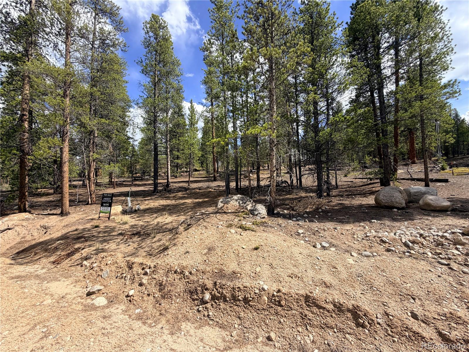 198 Juniper Drive Twin Lakes CO 81251