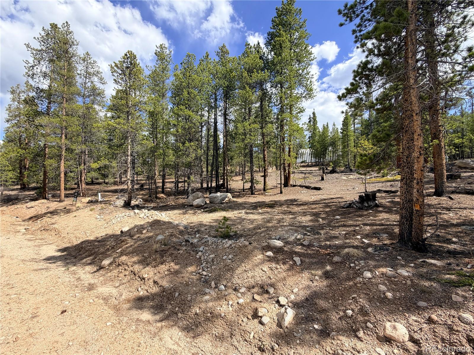 198 Juniper Drive Twin Lakes CO 81251