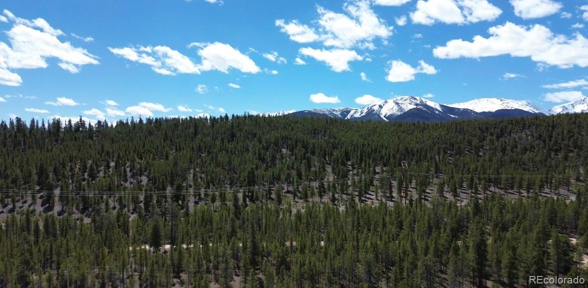 198 Juniper Drive Twin Lakes CO 81251