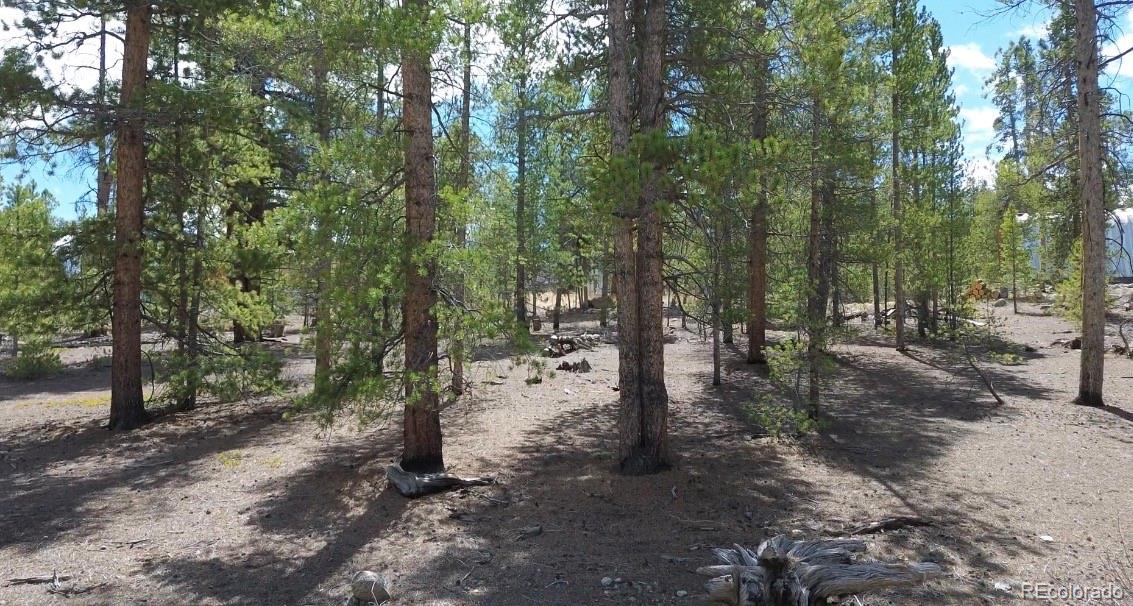 198 Juniper Drive Twin Lakes CO 81251