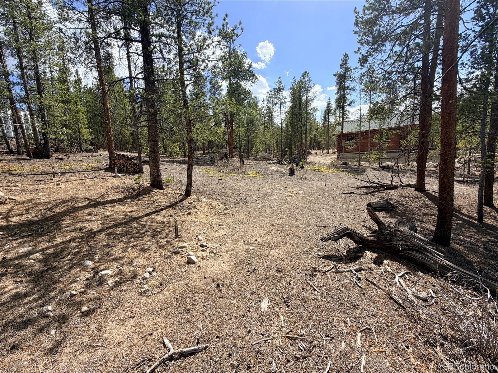 198 Juniper Drive Twin Lakes CO 81251
