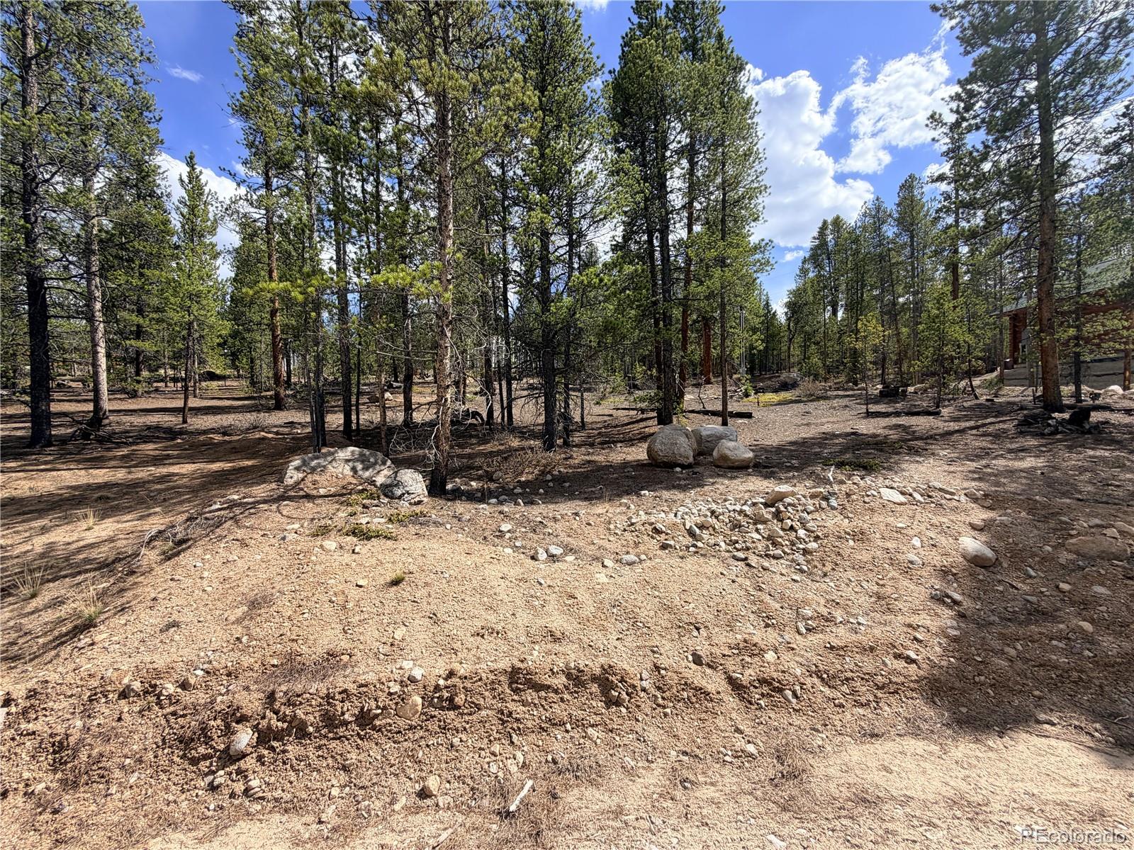 198 Juniper Drive Twin Lakes CO 81251