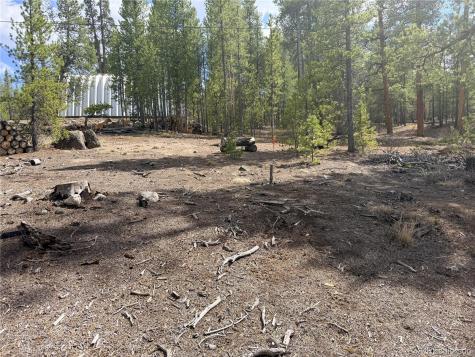 198 Juniper Drive Twin Lakes CO 81251