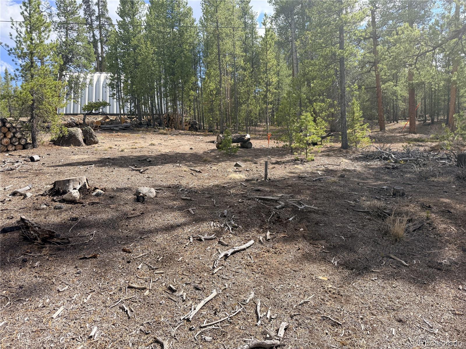 198 Juniper Drive Twin Lakes CO 81251