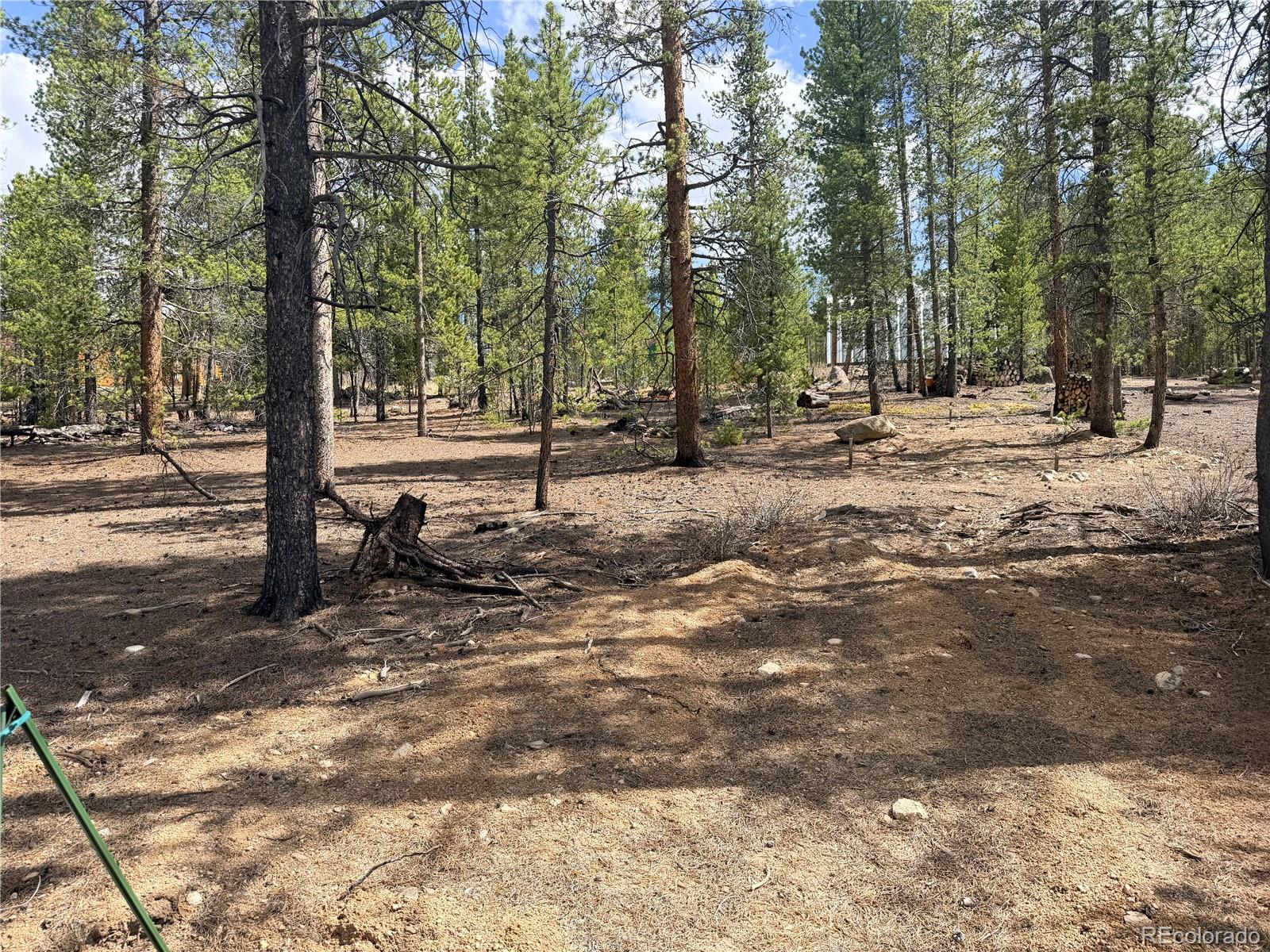 198 Juniper Drive Twin Lakes CO 81251