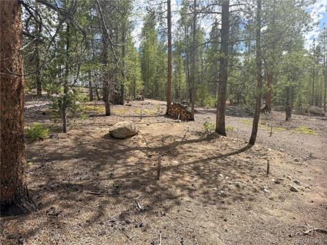 198 Juniper Drive Twin Lakes CO 81251