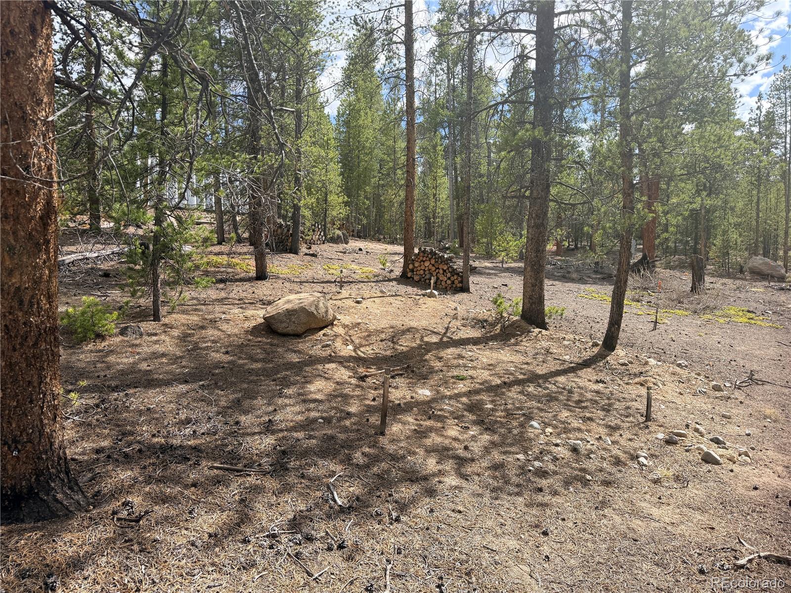 198 Juniper Drive Twin Lakes CO 81251