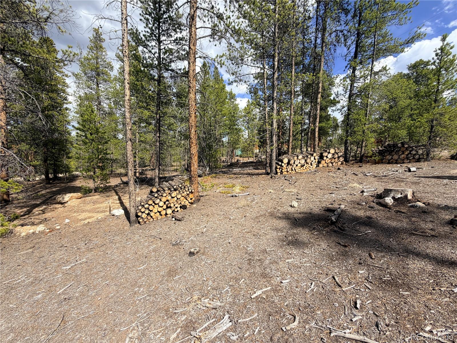 198 Juniper Drive Twin Lakes CO 81251