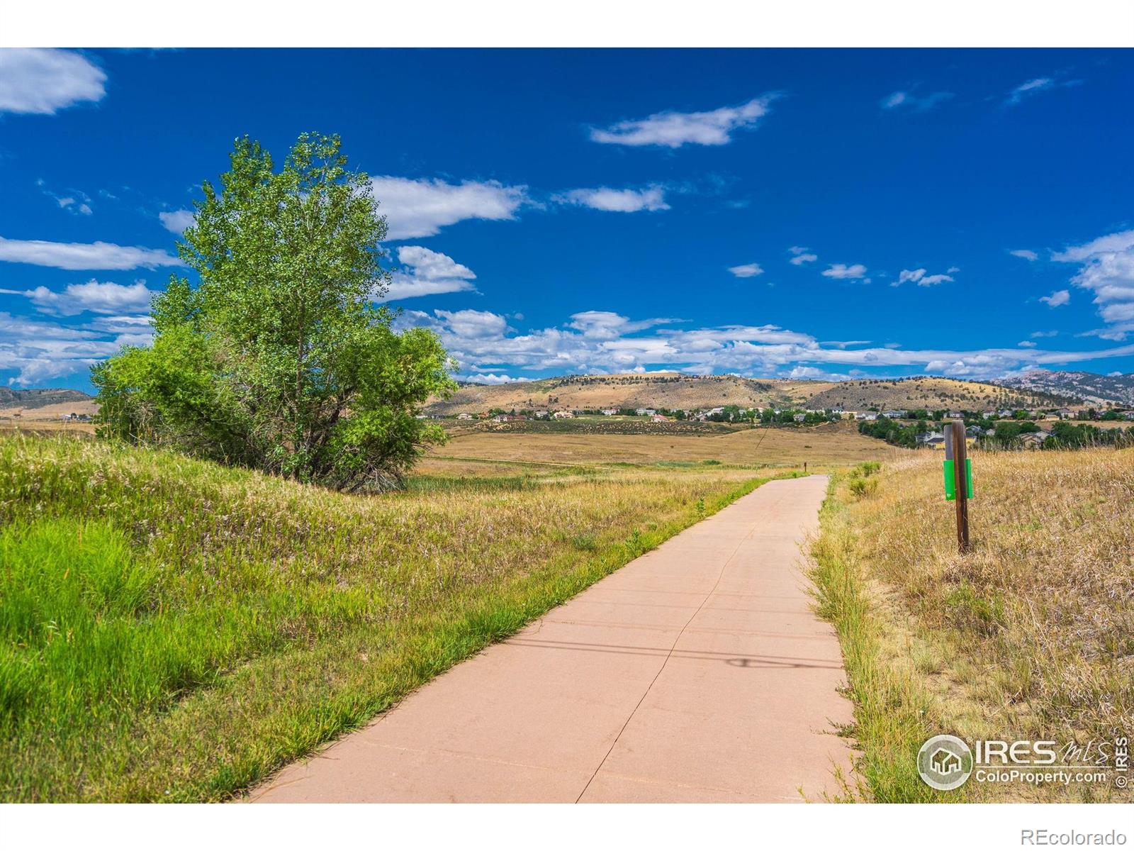 2935 Living Spring Lane Fort Collins CO 80526