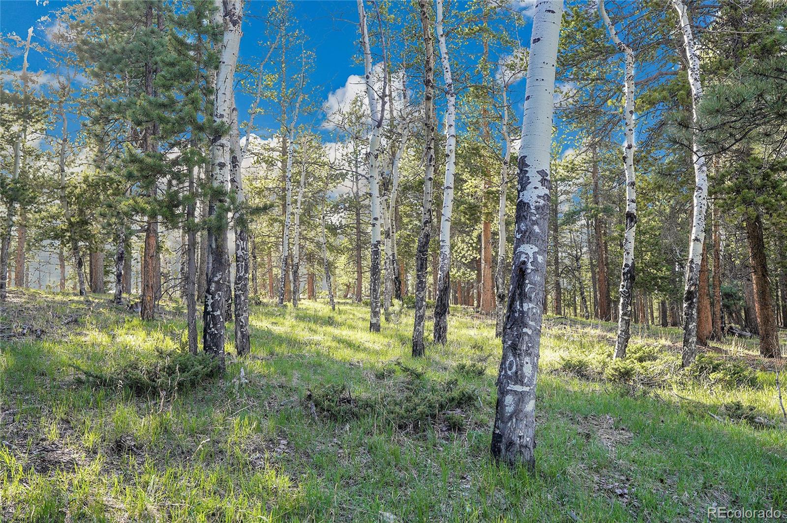 Molly Dr, Lot #3 Conifer CO 80433