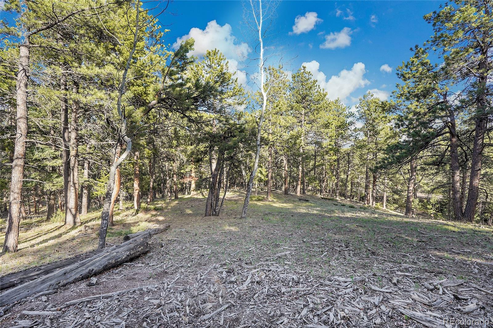 Molly Dr, Lot #3 Conifer CO 80433