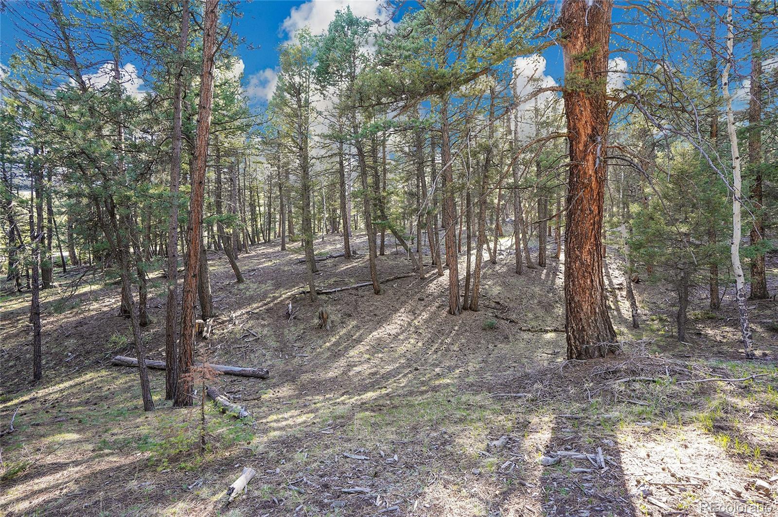 Molly Dr, Lot #3 Conifer CO 80433