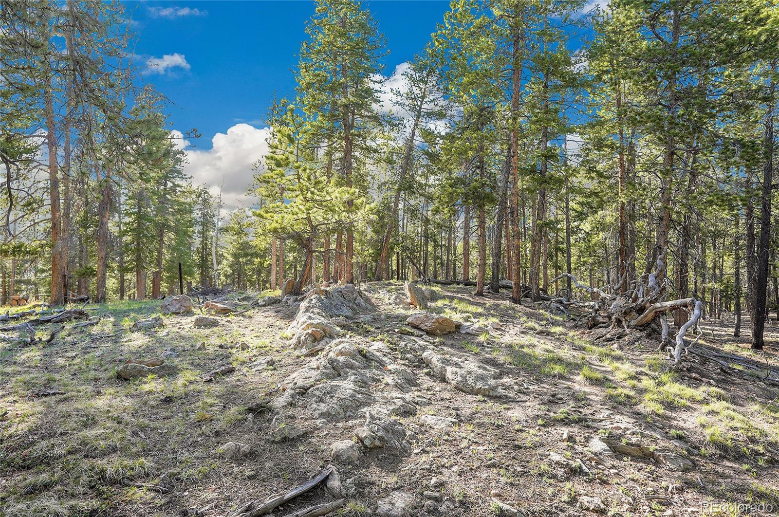 Molly Dr, Lot #3 Conifer CO 80433