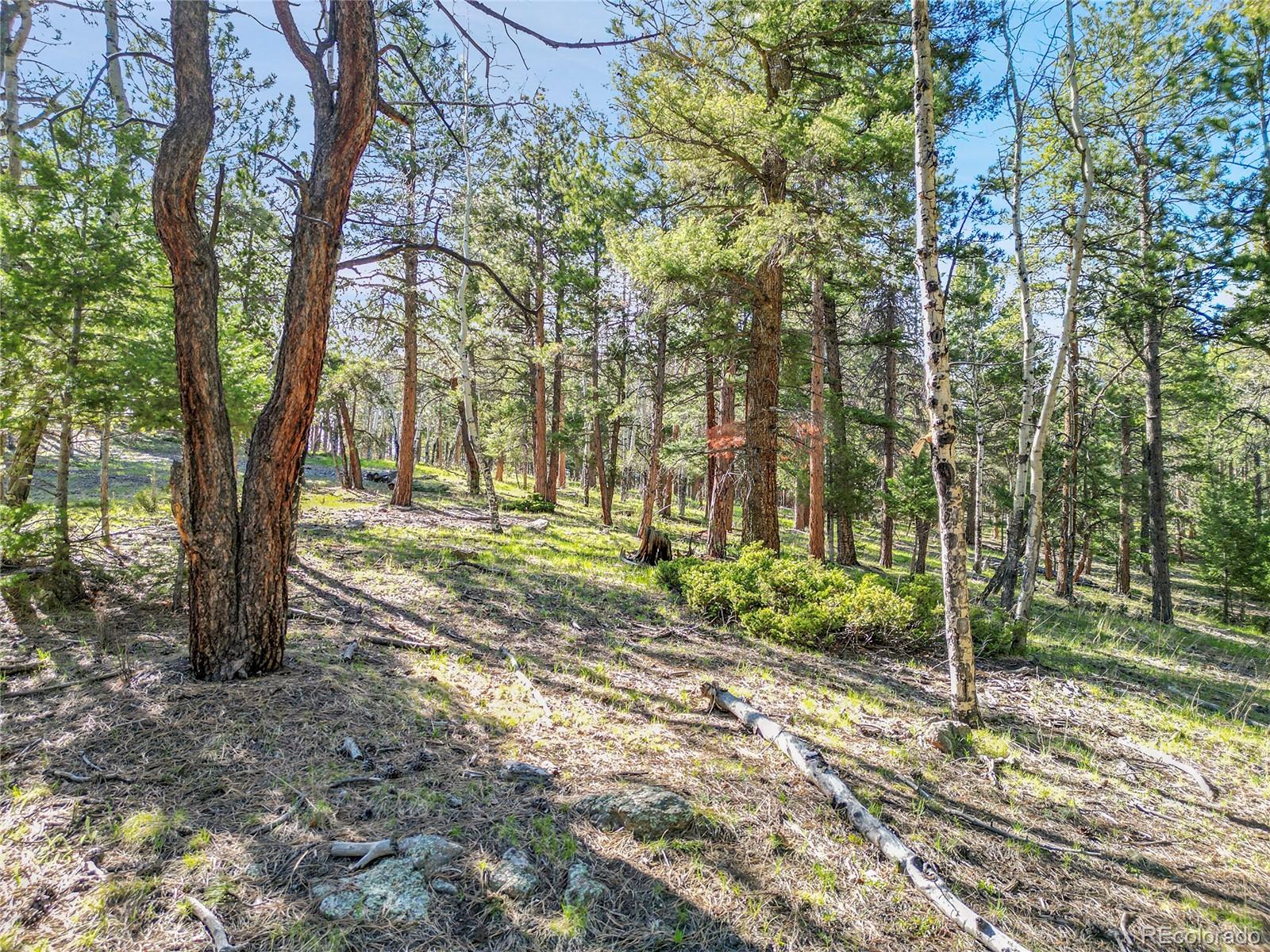 Molly Dr, Lot #3 Conifer CO 80433