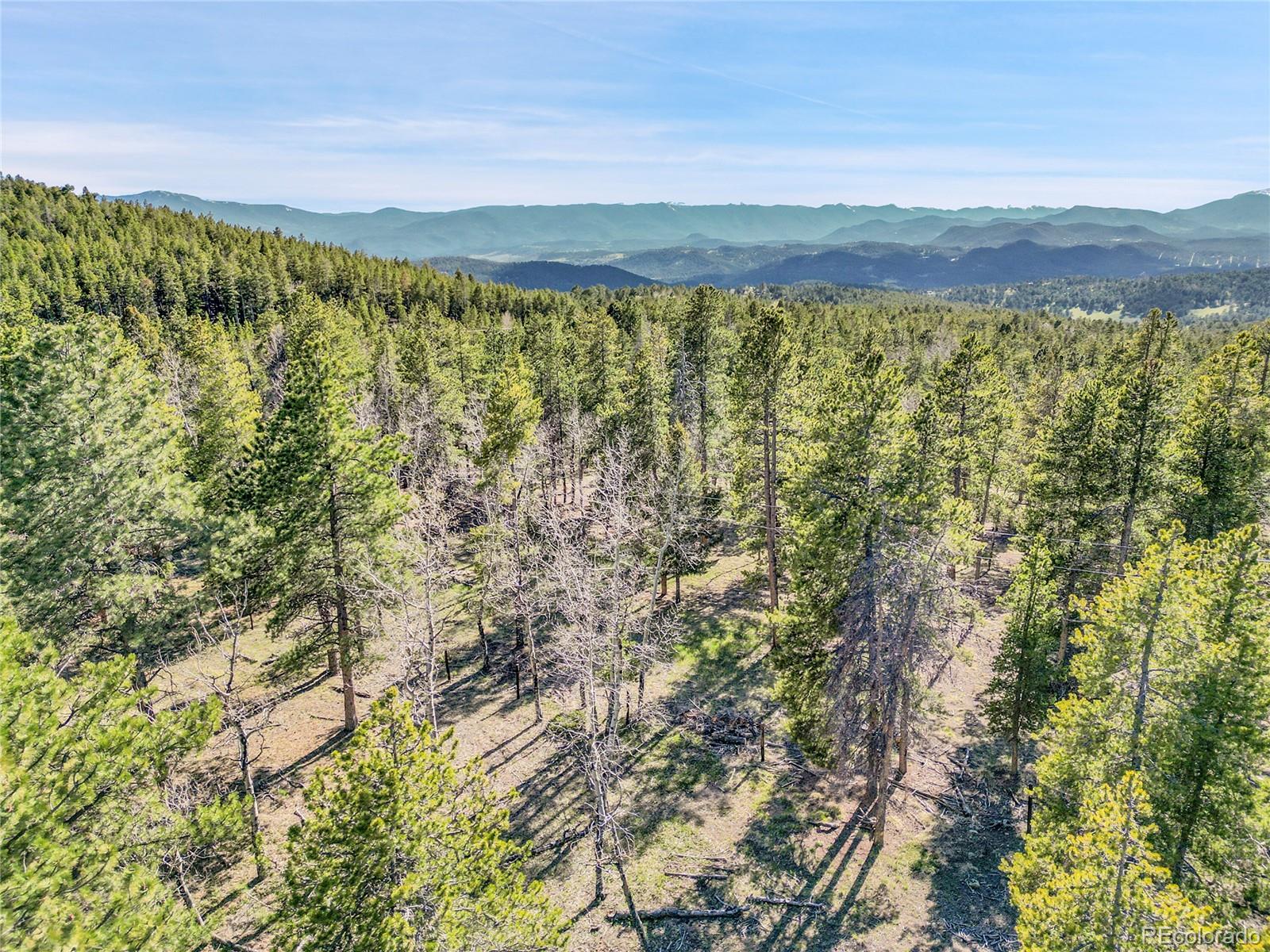 Molly Dr, Lot #3 Conifer CO 80433