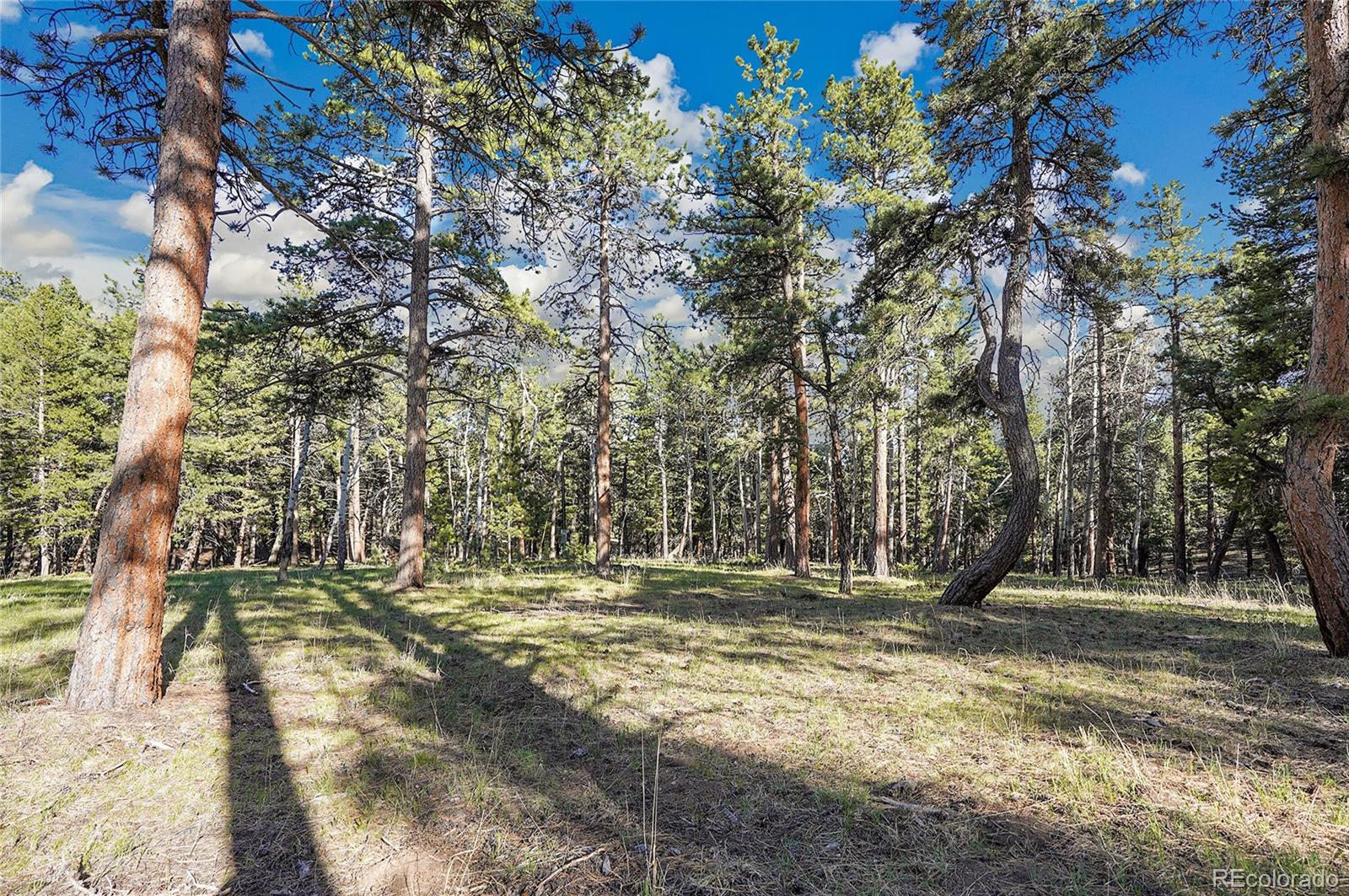 Molly Dr, Lot #3 Conifer CO 80433
