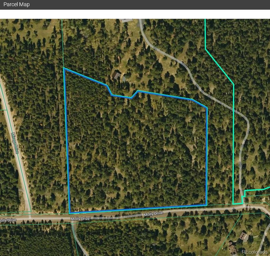 Molly Dr, Lot #3 Conifer CO 80433