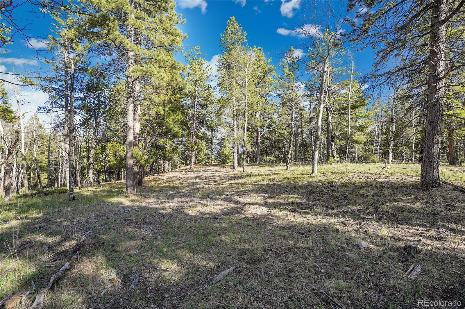 Molly Dr, Lot #3 Conifer CO 80433