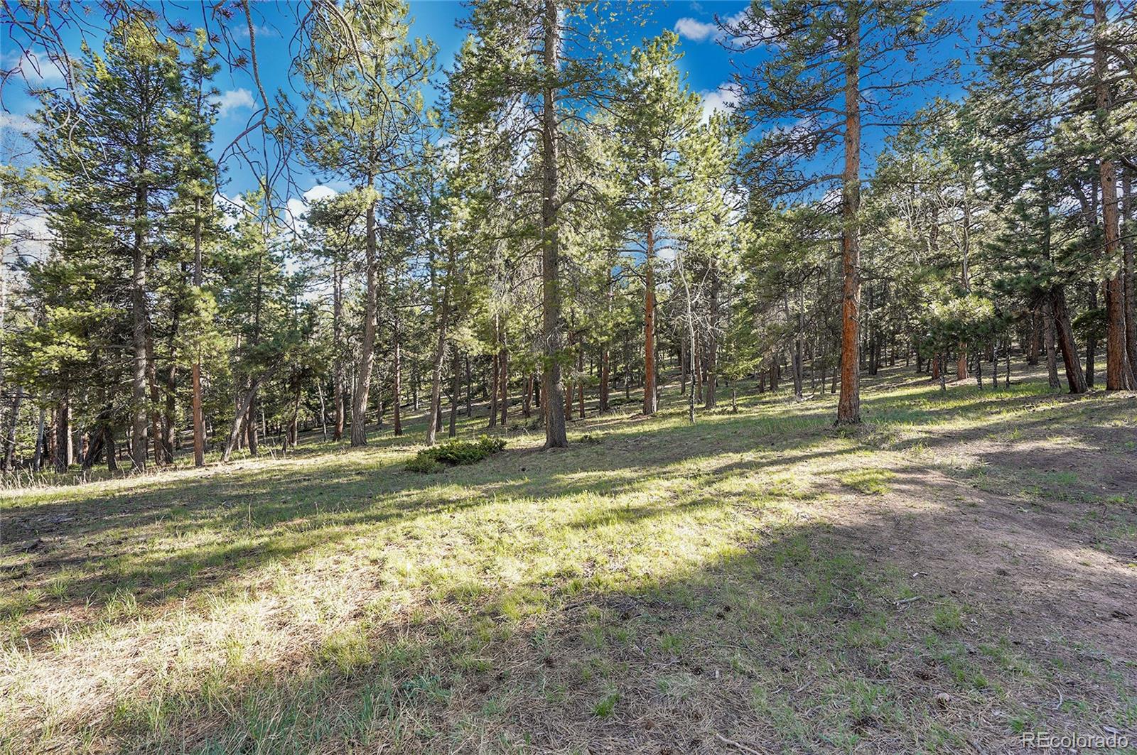 Molly Dr, Lot #3 Conifer CO 80433
