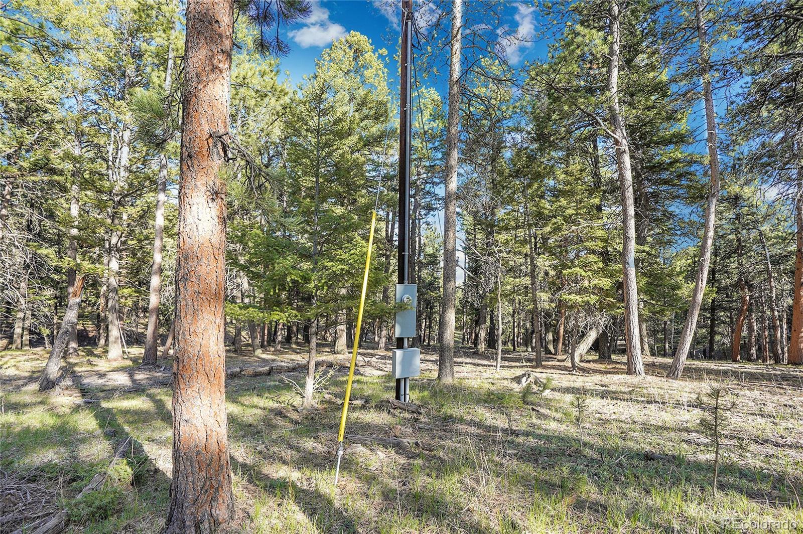 Molly Dr, Lot #3 Conifer CO 80433