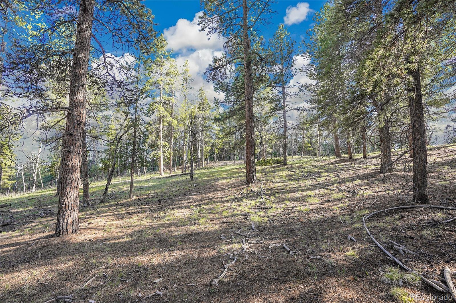 Molly Dr, Lot #3 Conifer CO 80433
