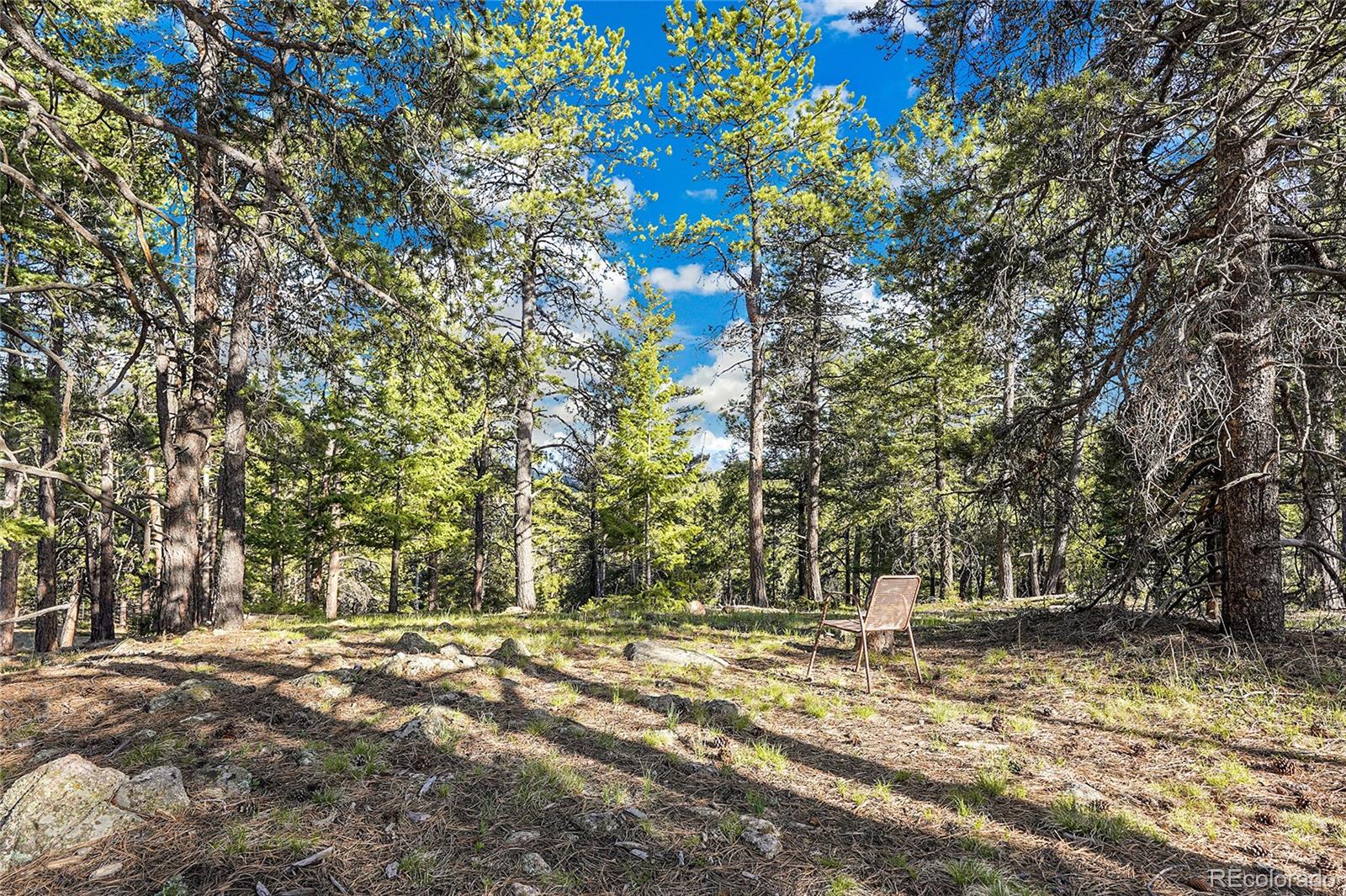 Molly Dr, Lot #3 Conifer CO 80433