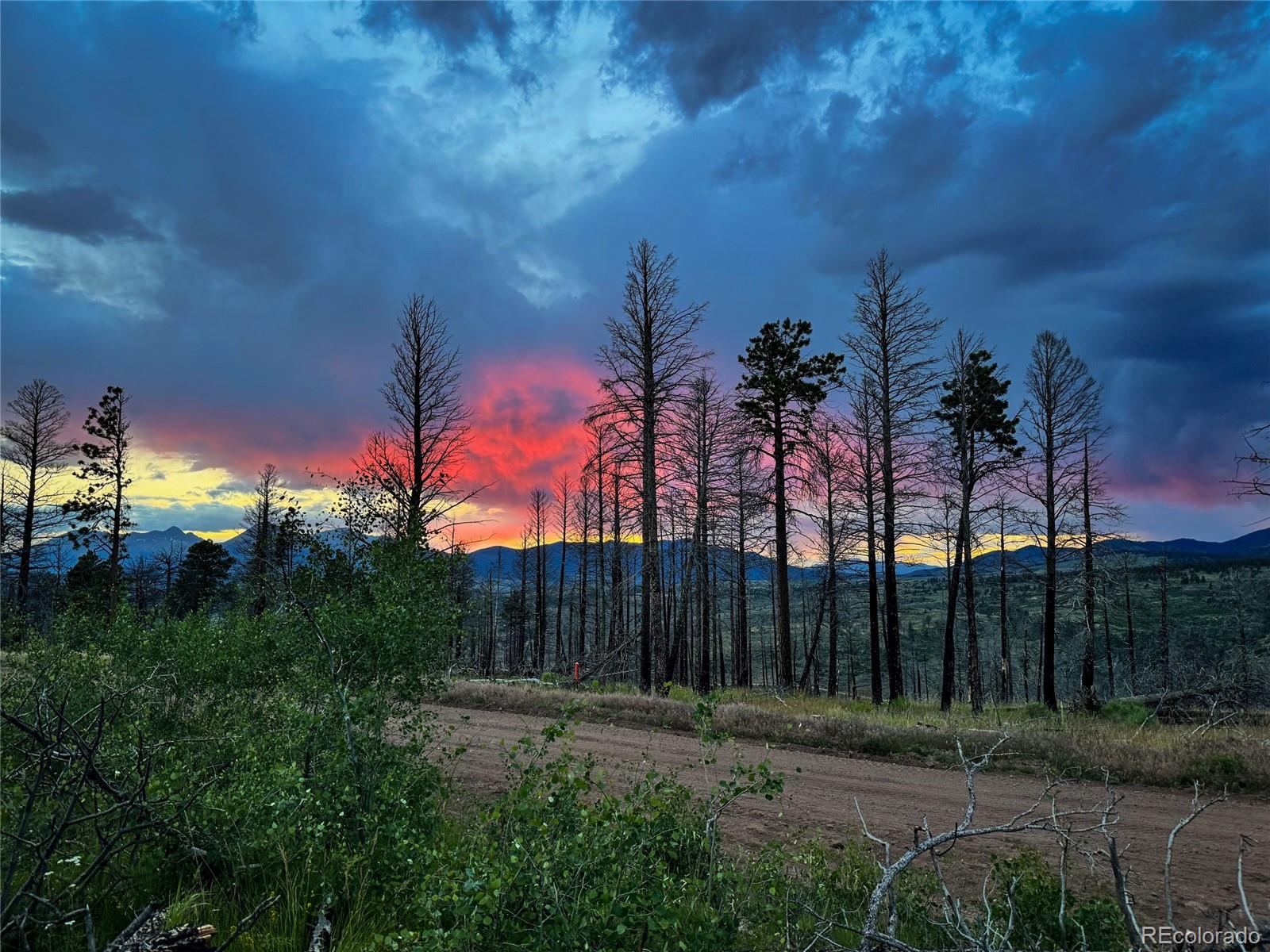 Lot 591 Leslie Loop Fort Garland CO 81133