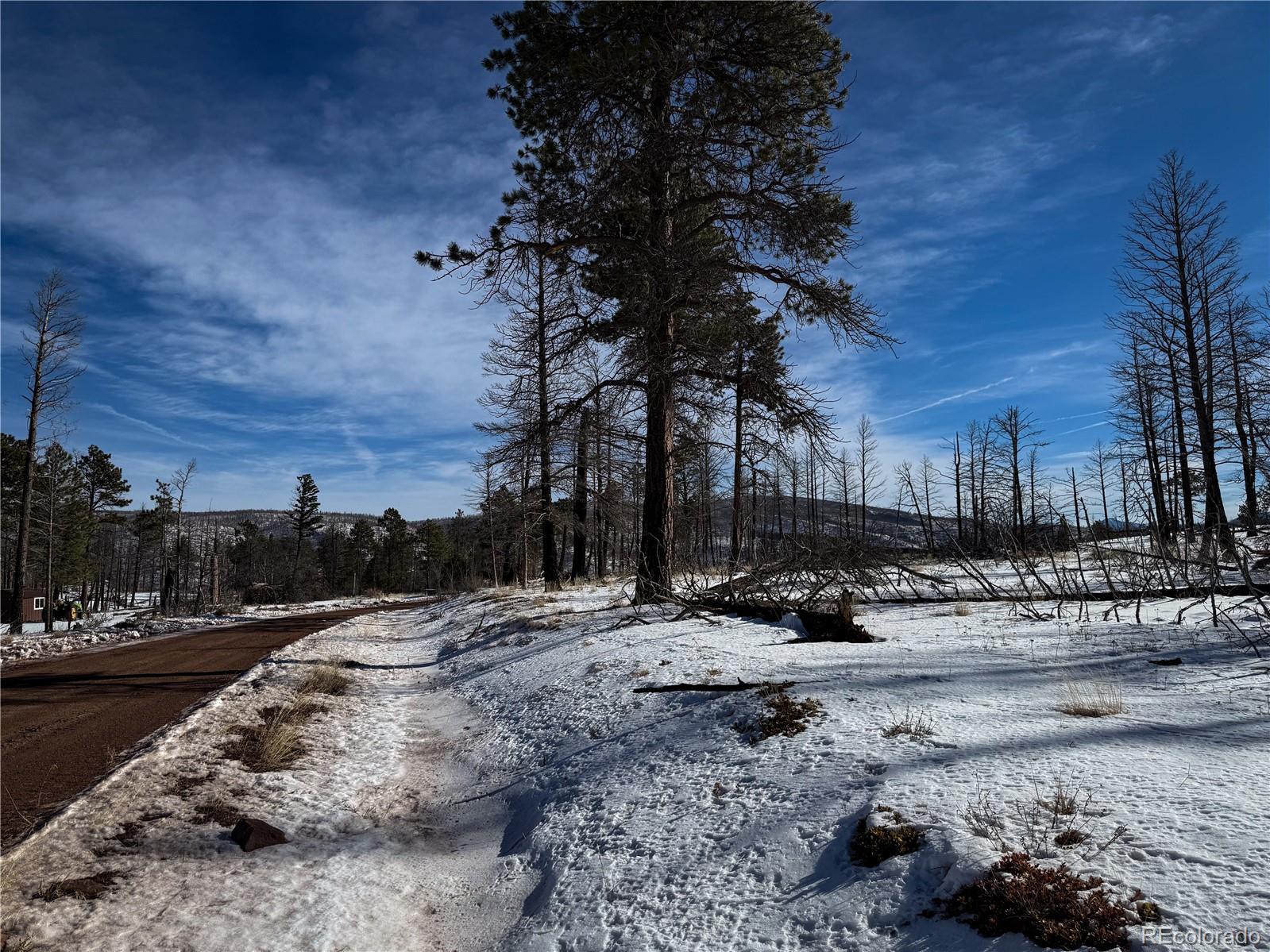 Lot 591 Leslie Loop Fort Garland CO 81133