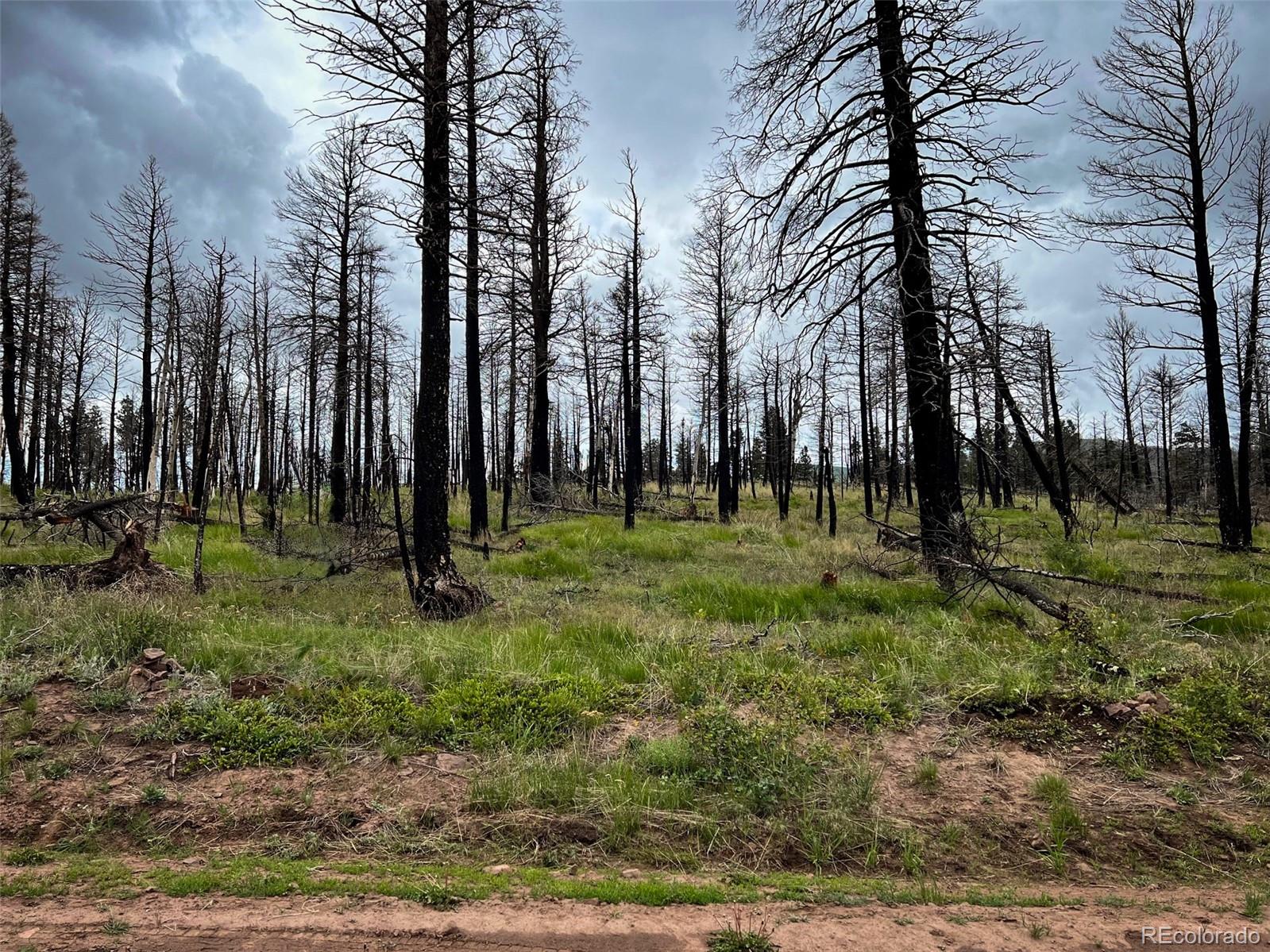 Lot 591 Leslie Loop Fort Garland CO 81133
