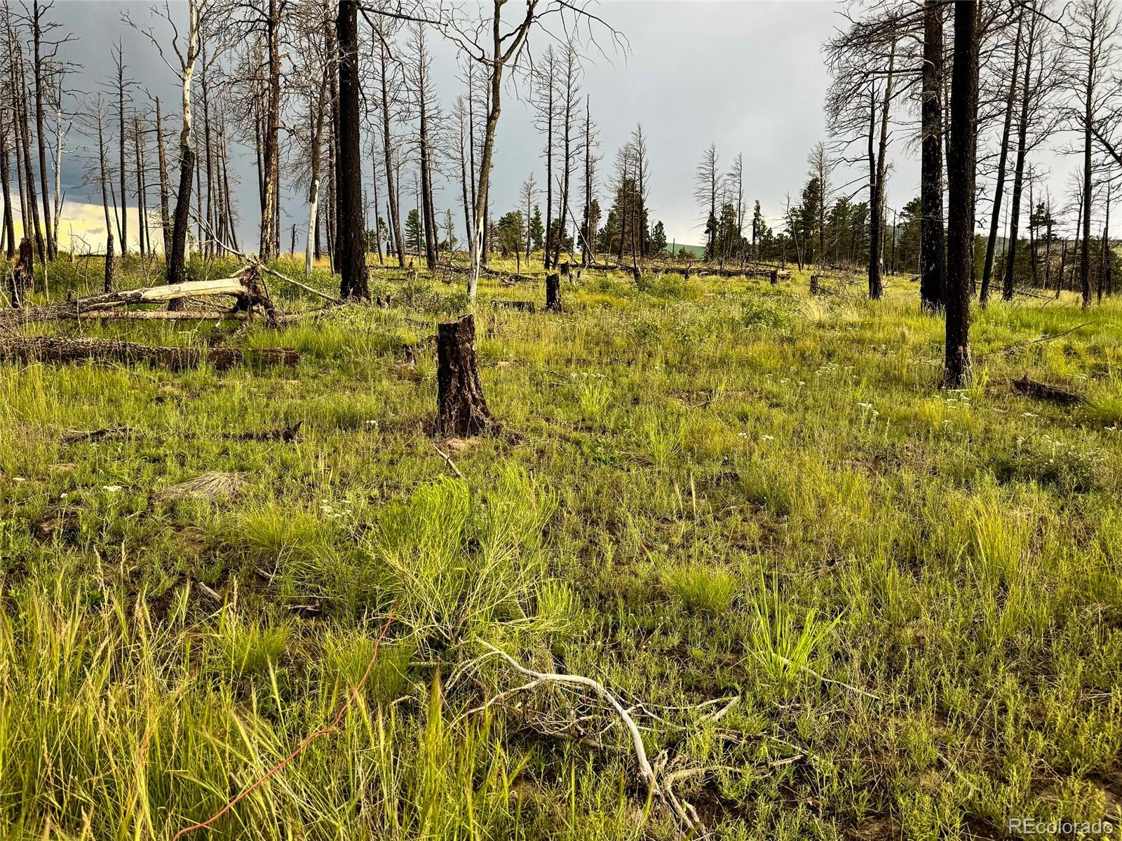 Lot 591 Leslie Loop Fort Garland CO 81133