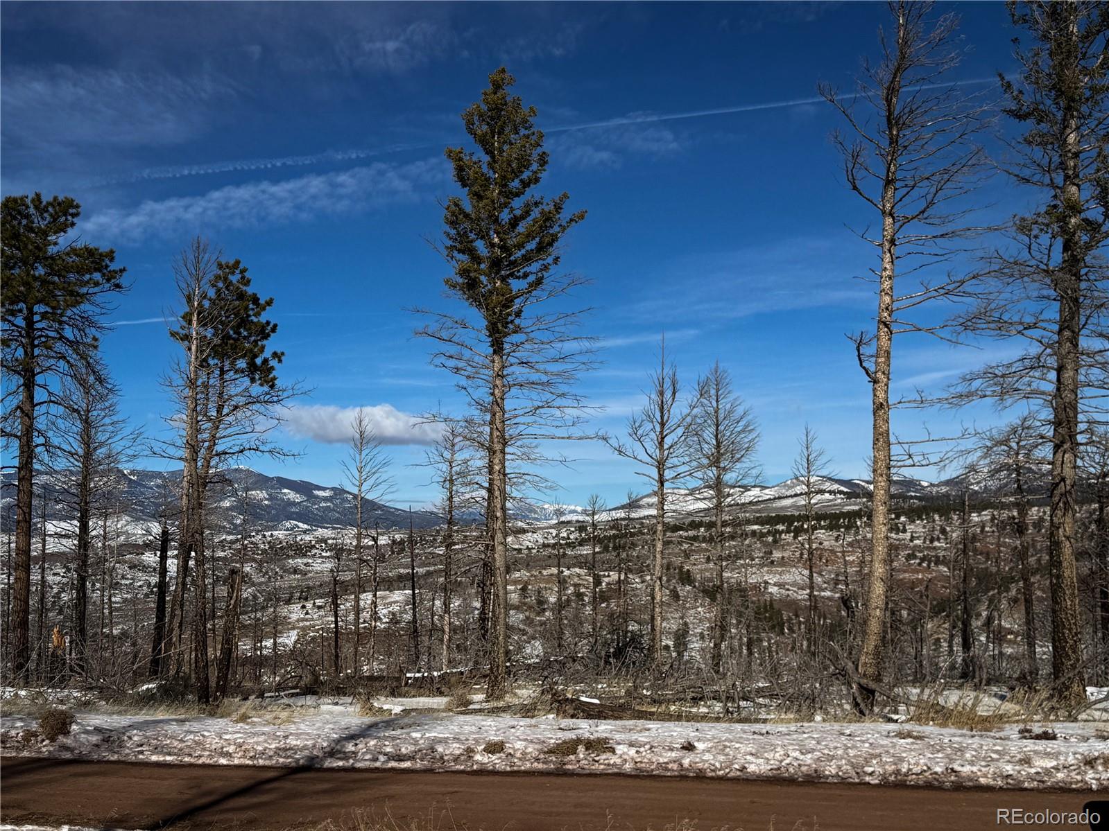 Lot 591 Leslie Loop Fort Garland CO 81133