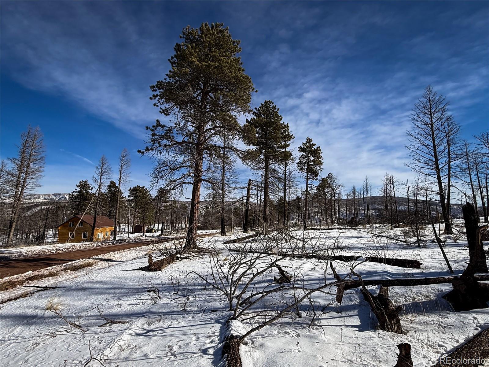 Lot 591 Leslie Loop Fort Garland CO 81133