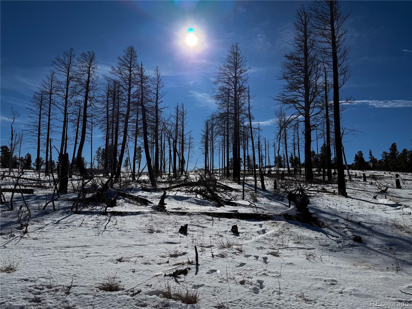 Lot 591 Leslie Loop Fort Garland CO 81133