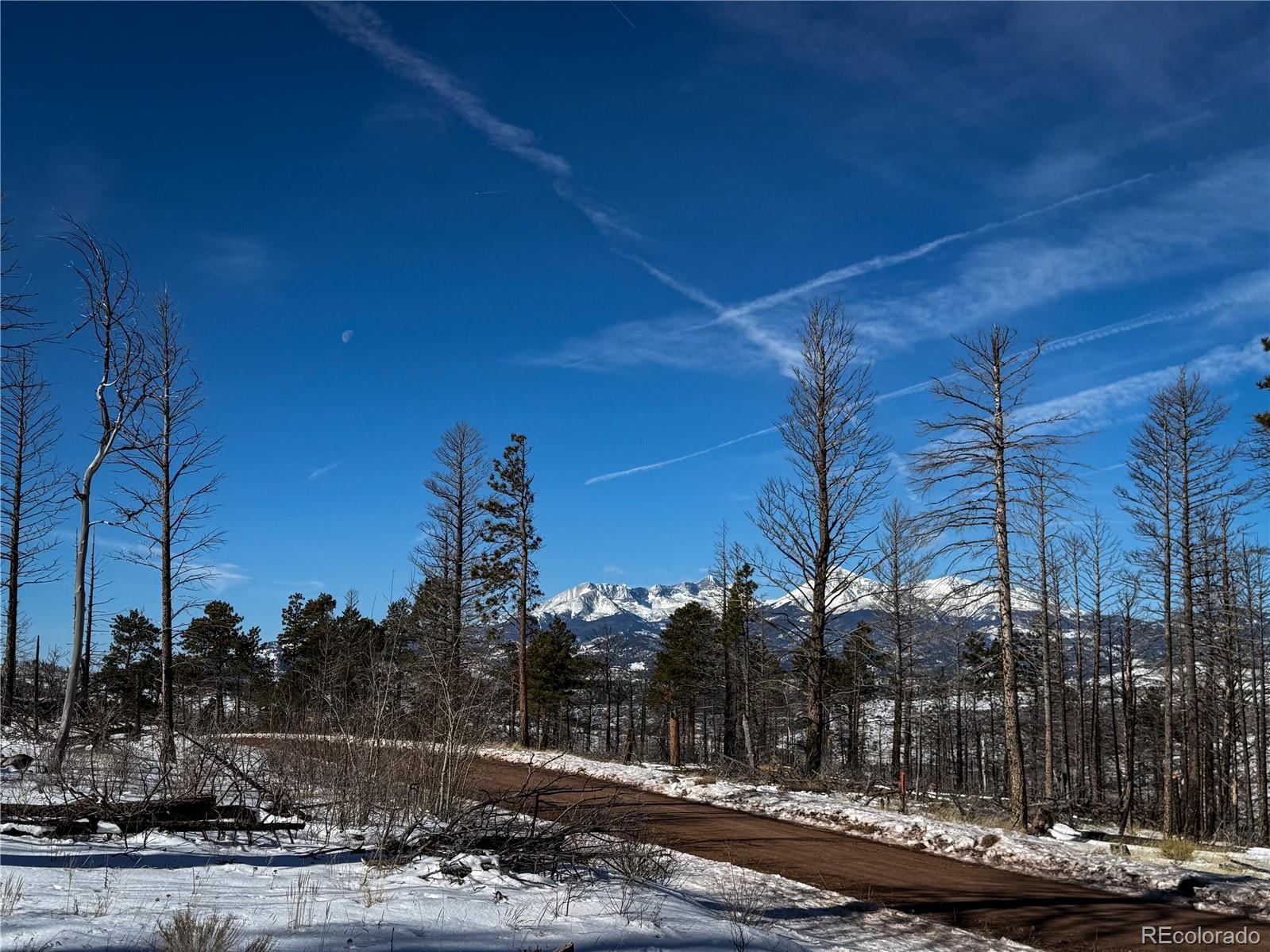 Lot 591 Leslie Loop Fort Garland CO 81133