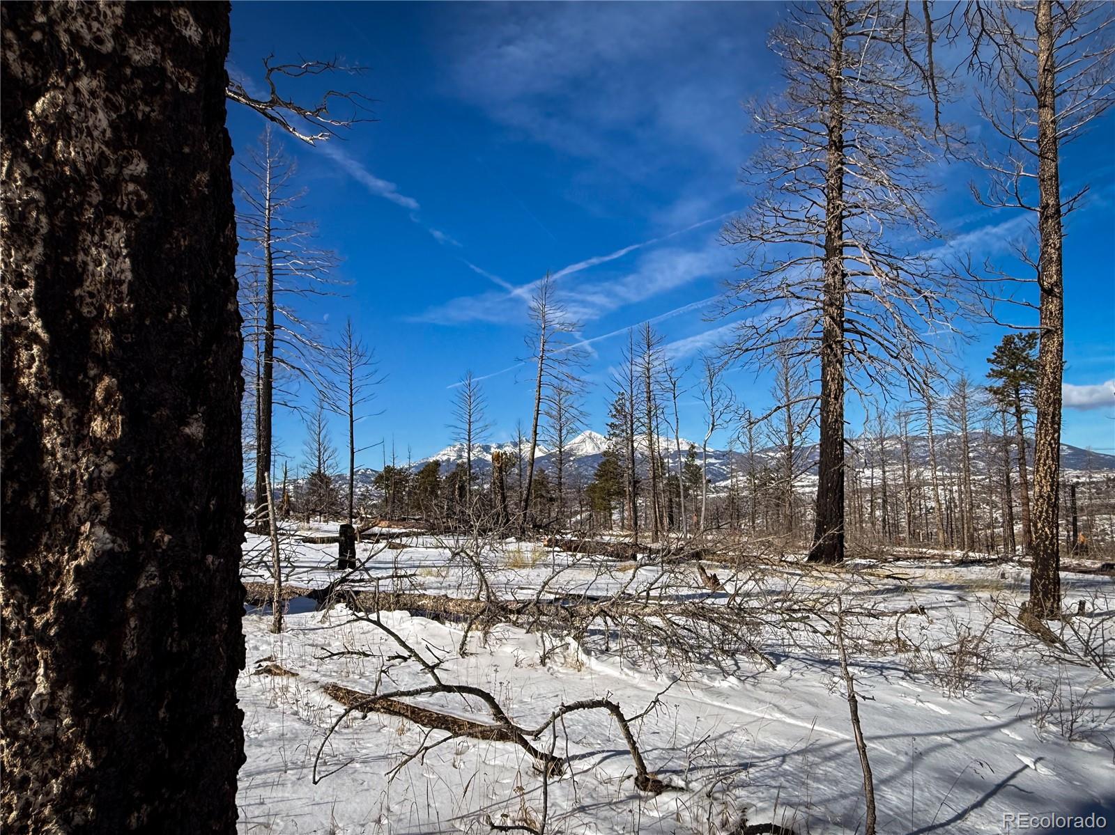 Lot 591 Leslie Loop Fort Garland CO 81133