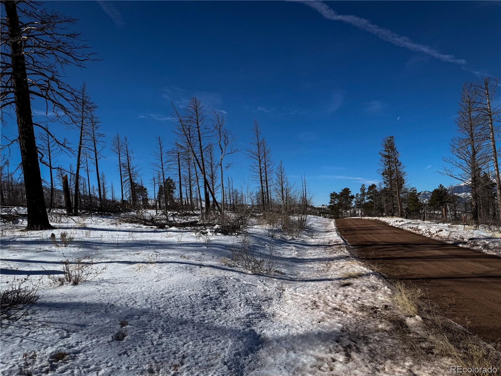 Lot 591 Leslie Loop Fort Garland CO 81133