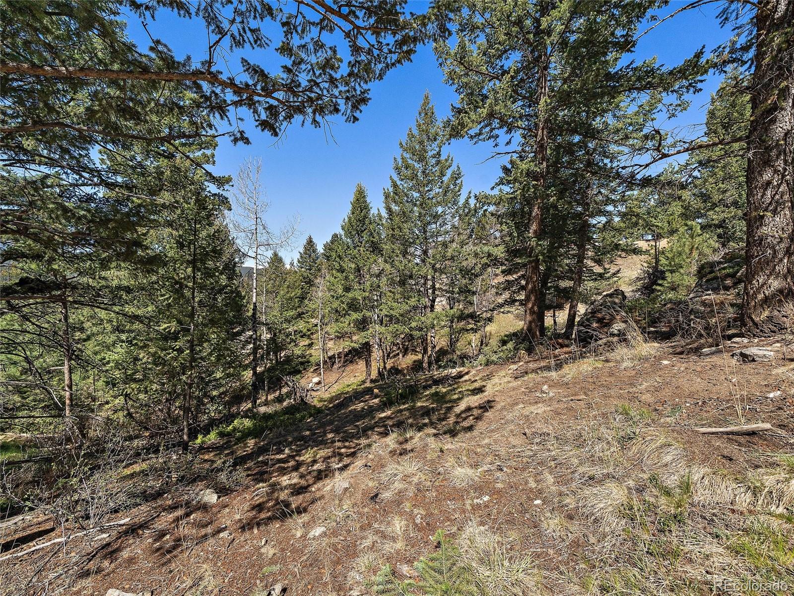 Lynx Lair Road Evergreen CO 80439