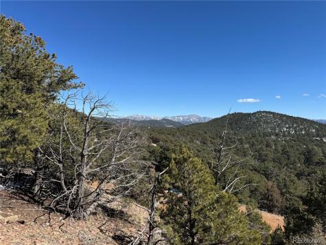 1114 Kevin Drive Cotopaxi CO 81223