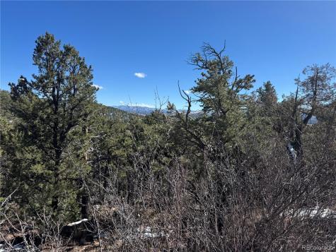 1114 Kevin Drive Cotopaxi CO 81223