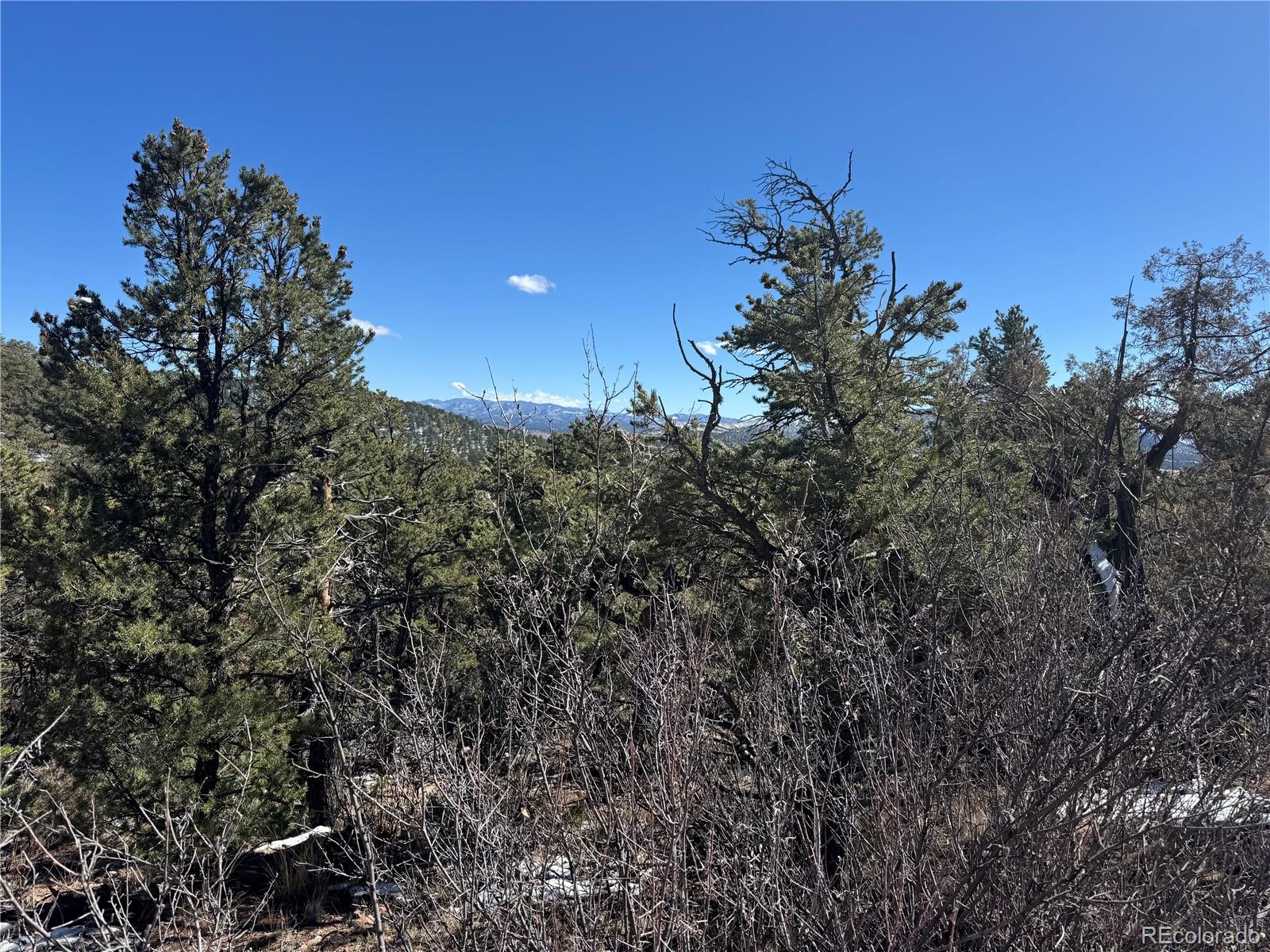 1114 Kevin Drive Cotopaxi CO 81223