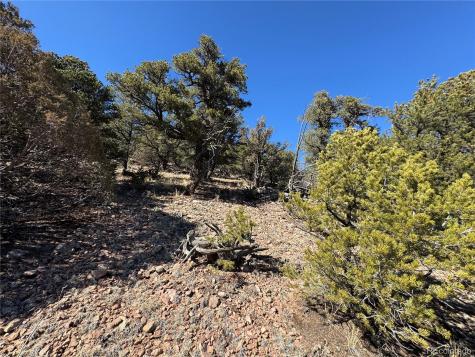 1114 Kevin Drive Cotopaxi CO 81223