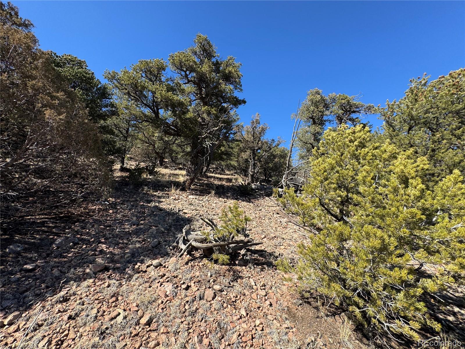 1114 Kevin Drive Cotopaxi CO 81223