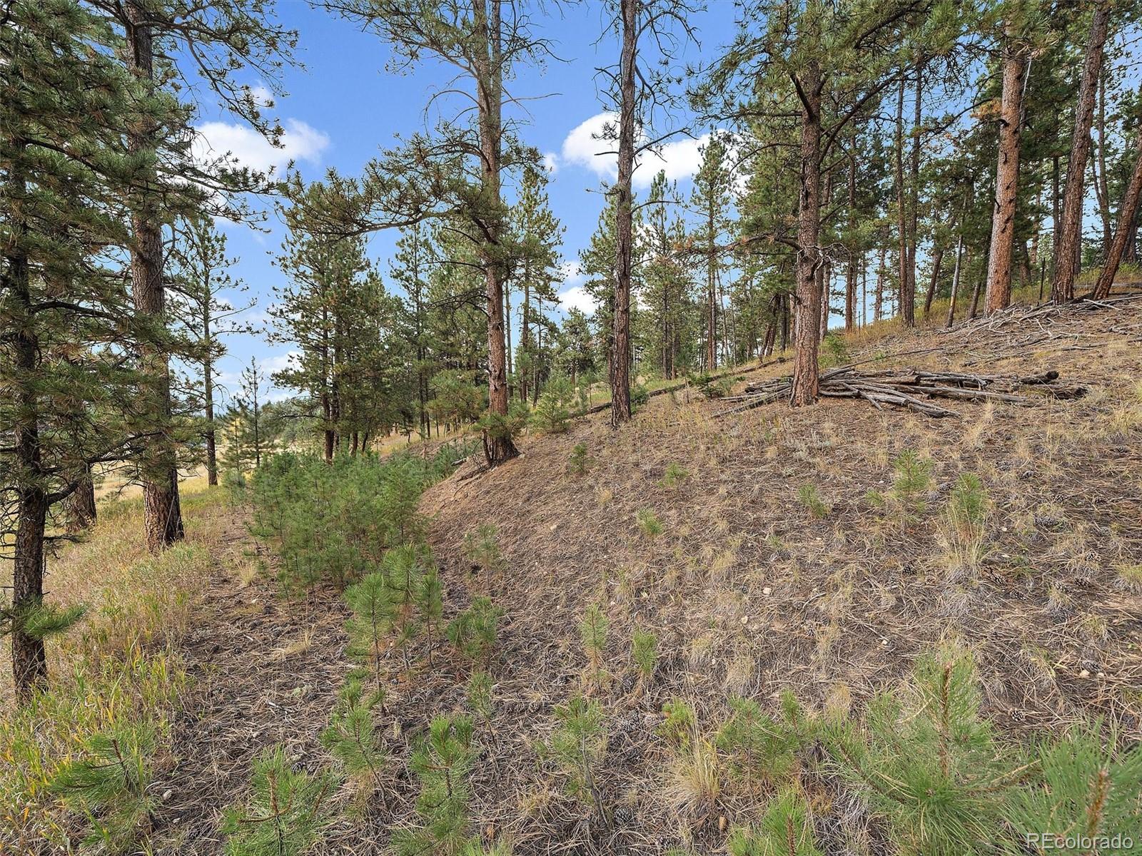 0 Cragmont Drive Evergreen CO 80439