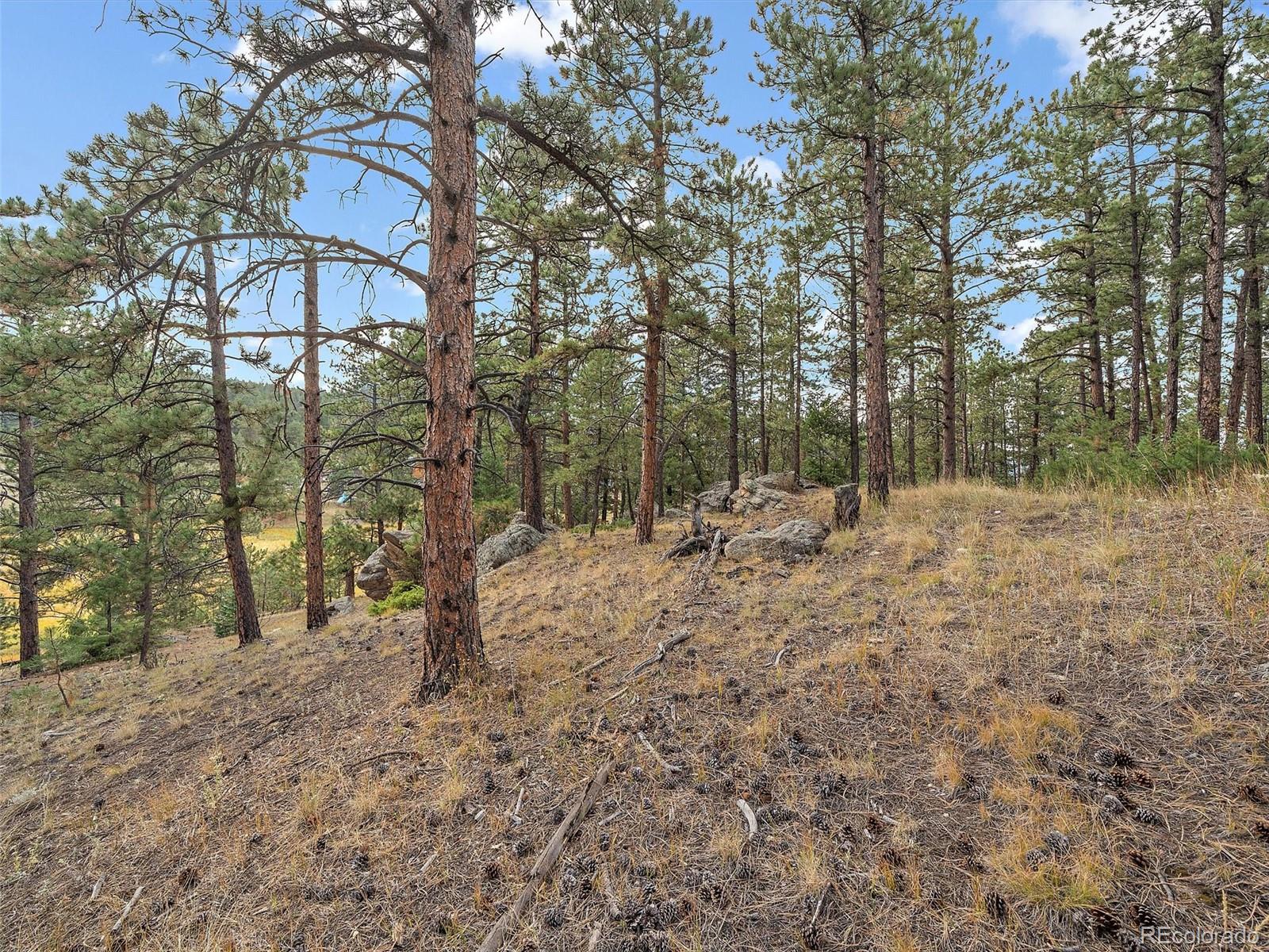 0 Cragmont Drive Evergreen CO 80439