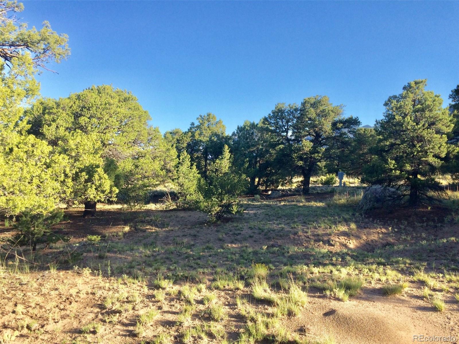 3514 Forest Trail Overlook Crestone CO 81131