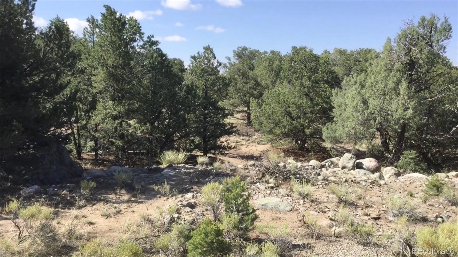 3514 Forest Trail Overlook Crestone CO 81131