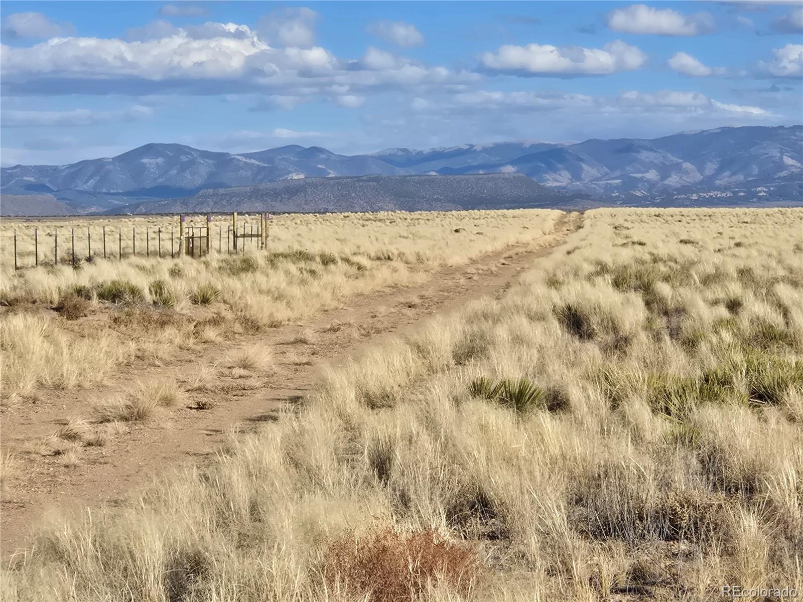 Unit 2 31st Street Blanca CO 81123