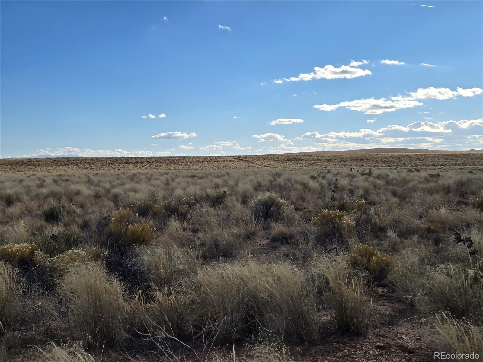 Unit 2 31st Street Blanca CO 81123